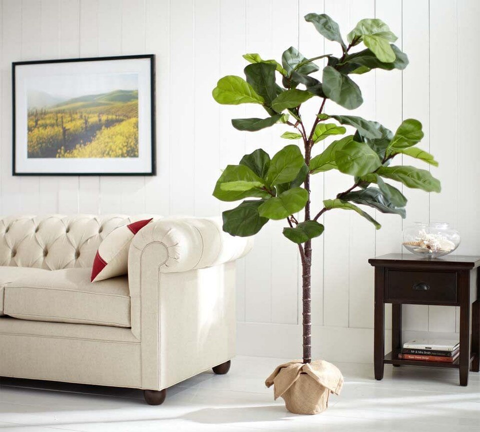Faux Potted Fiddle Leaf Tree Pottery Barn Australia